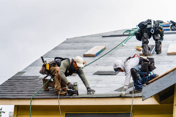 Professional Emergency Roof Repair technician working in Barneveld, WI